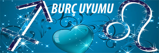 Burç Uyumu